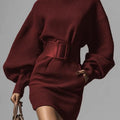 Women’s Brown Bodycon Mini Dress — Boat Neck, Long Sleeve
